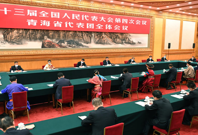3月7日,中共中央总书记、国家主席、中央军委主席习近平参加十三届全国人大四次会议青海代表团的审议。新华社记者 李涛 摄